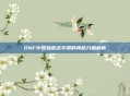 DNF中孤独意志手镯的神秘力量解析