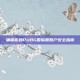 确保你的PUBG国际服账户安全指南