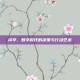 闪卒，数字时代的决策与行动艺术