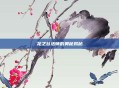 龙之谷法师的奥秘揭秘