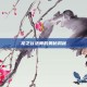 龙之谷法师的奥秘揭秘