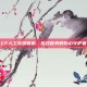 CF人工在线客服，游戏世界的贴心守护者