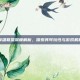 英雄联盟深度解析，探索其可玩性与游戏机制
