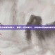 男子怪病似外星人，最后一名外星人，当怪病成为他的星际标签