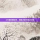 CF端游排位赛，荣耀之路与挑战之旅