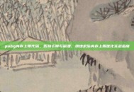 pubg内存上限代码，告别卡顿与崩溃，绝地求生内存上限优化实战指南