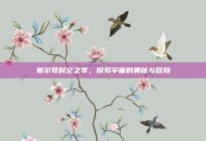 赛尔号时空之零，探索宇宙的奥秘与冒险