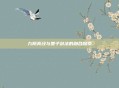 九阴真经与墨子剑法的融合探索