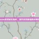 Steam游戏优化指南，提升游戏体验的实用技巧