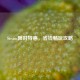 Steam限时特惠，省钱畅玩攻略
