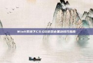 Win11系统下CS:GO游戏去黑边技巧指南