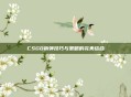 CSGO拆弹技巧与策略的完美结合