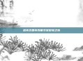 洛克王国奇妙屋寻宝冒险之旅