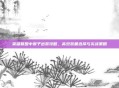 英雄联盟中猴子出装攻略,高效装备选择与实战策略