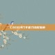 CSGO冷门手套刀搭配指南