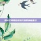 揭秘空间黑色皮肤代码的神秘面纱