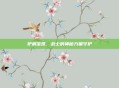 护肩宝珠,战士的神秘力量守护