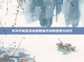 华为手机登录英雄联盟手游的步骤与技巧