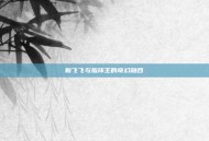 新飞飞与指环王的奇幻融合