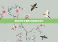 雷电将军中的村民愿望实现记