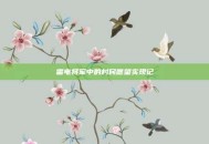 雷电将军中的村民愿望实现记