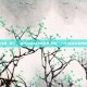 steam分类 没了，当Steam分类消失之后，一个游戏玩家的崩溃日记