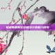 英雄联盟段位边框设计的魅力探索