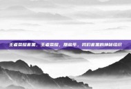 王者荣耀套黑，王者荣耀，那些年，我们套黑的神秘组织