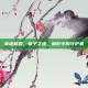 英雄联盟，皇子之魂，暗影中的守护者