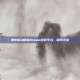 重庆移动体验Steam游戏平台，探索之旅