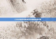 CSGO游戏性能波动与延时问题分析