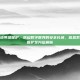 信息系统等级保护，筑起数字世界的安全长城，信息系统等级保护全方位解析