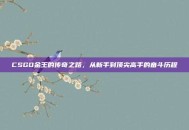 CSGO金王的传奇之路，从新手到顶尖高手的奋斗历程