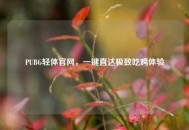 PUBG轻体官网，一键直达极致吃鸡体验