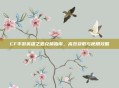 CF手游英雄之匙兑换指南，高效获取与使用攻略