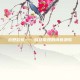 云野彩虹——自然奇观的诗意颂歌