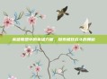英雄联盟中的英雄力量，探索极致战斗的奥秘