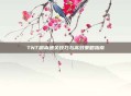 TNT副本通关技巧与高效策略指南
