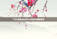 TNT副本通关技巧与高效策略指南