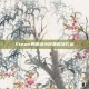 Steam界面缩小问题解决方案