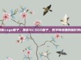 黑客csgo箱子，黑客与CSGO箱子，数字赌场里的暗影博弈