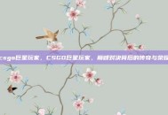 csgo巨星玩家，CSGO巨星玩家，巅峰对决背后的传奇与荣耀
