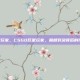 csgo巨星玩家，CSGO巨星玩家，巅峰对决背后的传奇与荣耀