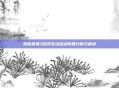 刺客信条3游戏无法启动问题分析与解决