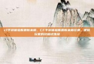cf手游体验服最新米格，CF手游体验服最新米格狂潮，硬核玩家的终极试炼场