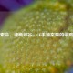 钩镰索命，魂断峡谷，CF手游玄策的杀戮美学