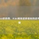 金色SLR的传奇，PUBG稀有皮肤背后的战术与荣耀