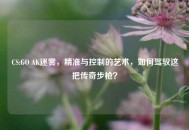 CS:GO AK迷雾，精准与控制的艺术，如何驾驭这把传奇步枪？