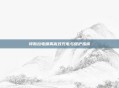 特斯拉电喷雾高效充电与维护指南