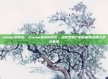 steam无钱包，Steam无钱包悖论，当数字资产的自由流动撞上平台围墙